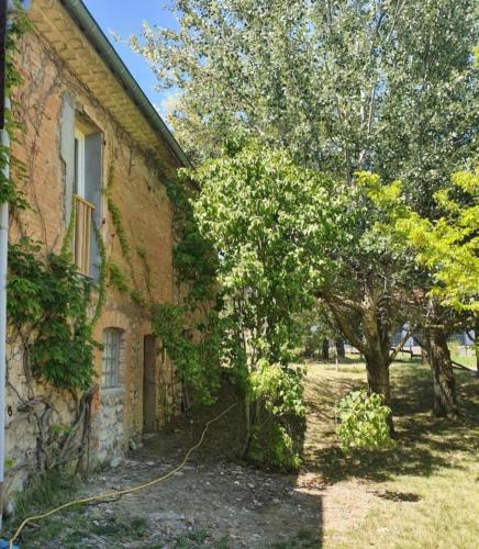 une maison avec un arbre à côté d'un bâtiment dans l'établissement Gîtes Ô Café 