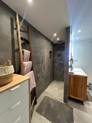 une salle de bain avec douche et lavabo dans l'établissement Cocon sur la Route des Vins, à Gertwiller