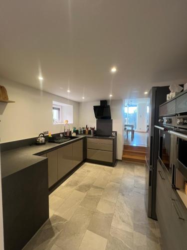 une cuisine avec des placards gris et des appareils de cuisine dans l'établissement Cocon sur la Route des Vins, à Gertwiller