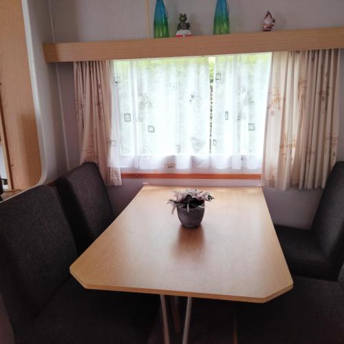 a table with a vase on top of it next to a window at Chalet met 2 slaapkamer I Kom wandelen en fietsen in Schoonloo