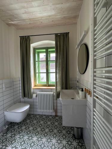 a bathroom with a sink and a toilet and a window at Apartmány Hodňov 17 in Horní Planá
