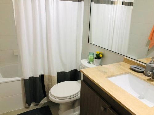 a bathroom with a white toilet and a sink at Hermoso departamento con vista al mar pleno centro in Antofagasta