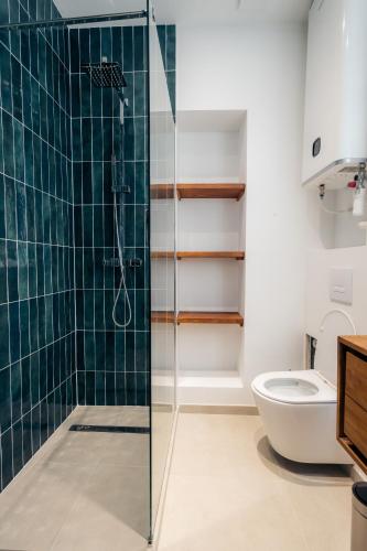 une salle de bain avec douche et toilettes dans l'établissement Le clocher du château, à Fontainebleau