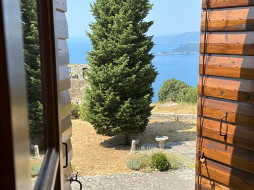 a view of a tree from a door at Villa Sveti Stefan in Budva