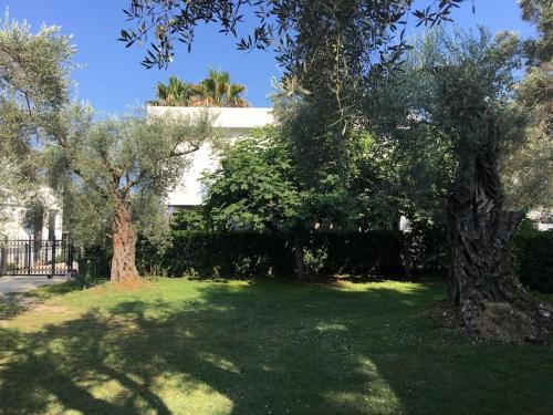 Φωτογραφία από το άλμπουμ του La Laguna Rooftop Apartment 50 m from the beach σε Masline