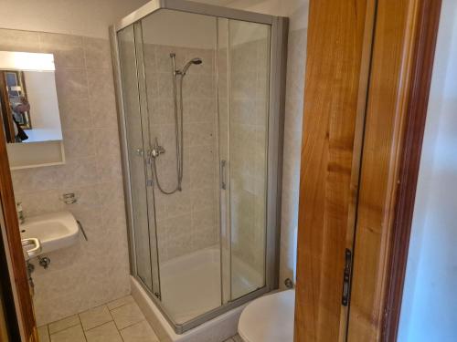 a bathroom with a shower with a toilet and a sink at Executive Lake View with Private Garden in Lugano