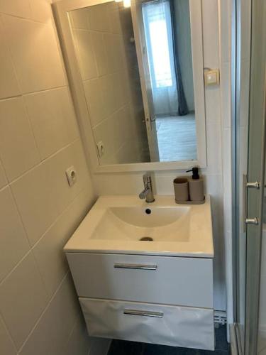une salle de bain avec un lavabo et un miroir dans l'établissement Nid douillet au cœur de Sens, à Sens