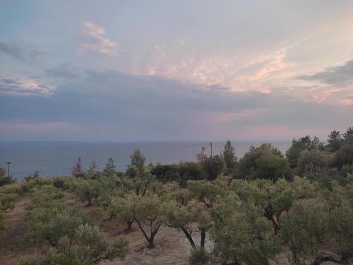 Φωτογραφία από το άλμπουμ του Enelia στο Βατοπέδι
