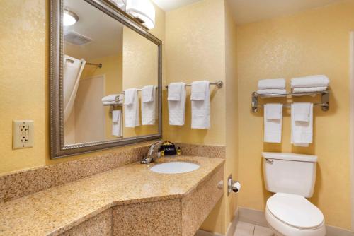 a bathroom with a sink and a toilet and a mirror at Best Western Plus Oak Mountain Inn in Pelham
