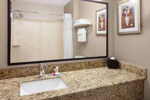a bathroom with a sink and a large mirror at AmericInn by Wyndham Hudson in Hudson