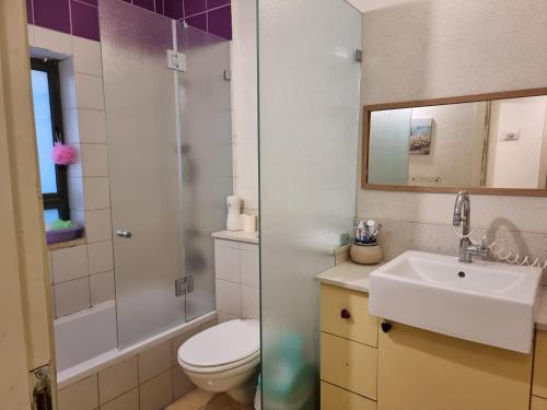 a bathroom with a toilet and a sink and a shower at בית פרטי לחופש משפחתי in Bayit Wegan