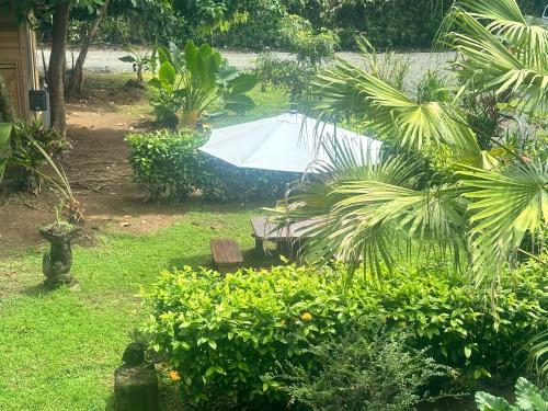 a garden with a white umbrella in the yard at Uvita Oasis Retreat with Villa Cabins and Apartment in Uvita
