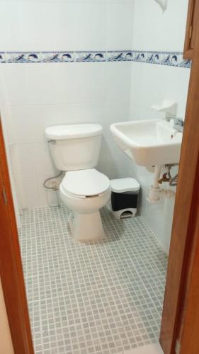 a bathroom with a toilet and a sink at Orizaba Suites in Río Blanco