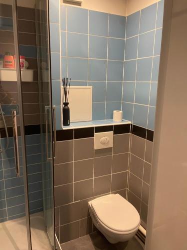 une salle de bain avec toilettes et douche dans l'établissement Petit studio tout équipé, à Boulogne-Billancourt