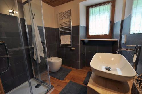 a bathroom with a sink and a shower at Historic Residenze Loo Bach in Gressoney-Saint-Jean