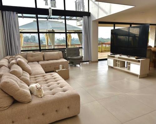 Posezení v ubytování Casa Fénix