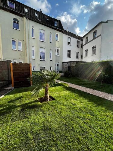 a palm tree in a yard in front of a building at New York: Messe-/Business-/FeWo Düsseldorf/Hilden in Hilden