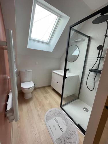 une salle de bain avec toilettes, lavabo et miroir dans l'établissement Maison indépendante avec jardin, à Orvault