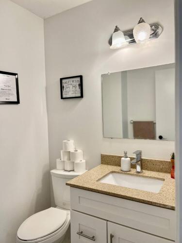 Un baño con inodoro, lavabo y espejo. en K2 Room Near Airport, en Mississauga