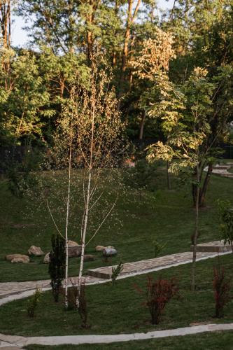 Κήπος έξω από το Cervus Magura