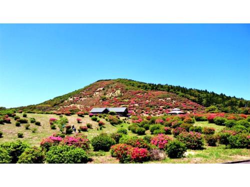 Gallery image of Hotel Satsukien - Vacation STAY 75963v in Kanoya