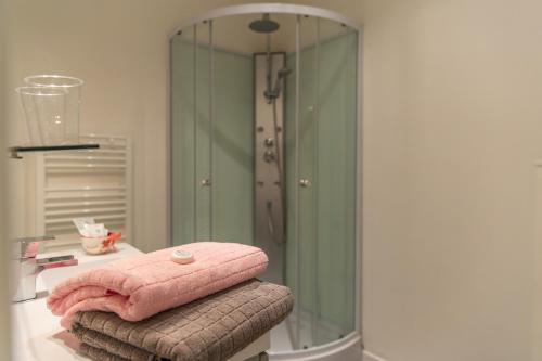 een badkamer met een glazen douche en een roze handdoek bij Chez Daniel in Kaysersberg