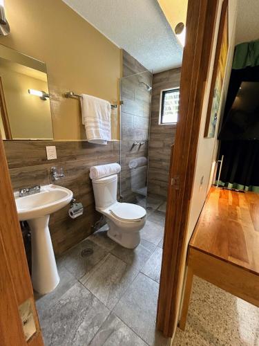 a bathroom with a toilet and a sink at Luz Casa de Huespedes in Oaxaca City