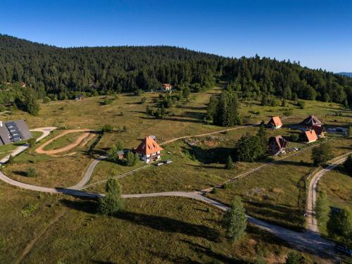 an aerial view of a small village in a field at Apartmani ZELENI MEDA in Mitrovac