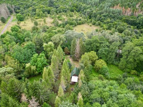 an aerial view of a house in the middle of a forest at Kerekerdő Apartman - Szarvaskő in Szarvaskő