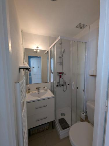 une salle de bain avec une douche, un lavabo et des toilettes dans l'établissement Appartement lumineux et calme proche mer a pieds, à Saint-Malo