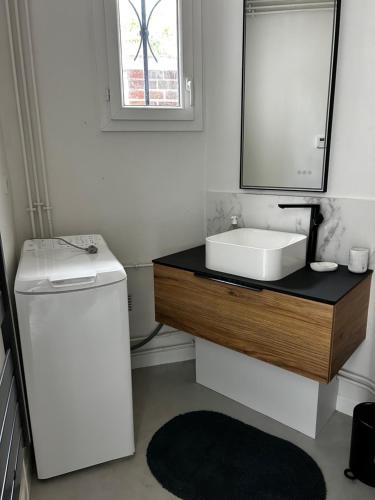 a bathroom with a sink and a mirror at La maison des Graviers in Nogent-sur-Seine