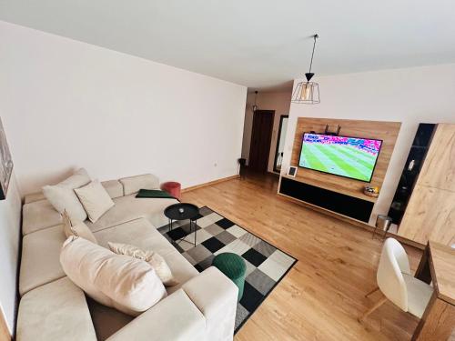 TV a/nebo společenská místnost v ubytování Raya apartment