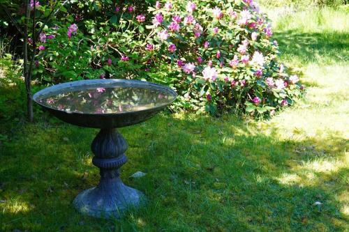 a glass birdbath sitting in the grass with flowers at The Cuckoo's Nest in Højby