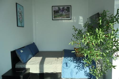 a bedroom with a bed and a potted plant at The Grand Diamond C Hotel in Trung Ðồng