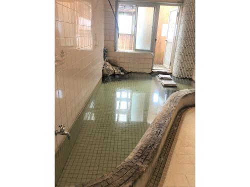 a large pool of green water in a bathroom at Hotel Tetora Yunokawaonsen - Vacation STAY 30623v in Hakodate