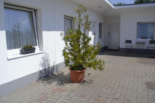 Fotografie z fotogalerie ubytování Hotel Lüneburg Süd v destinaci Melbeck