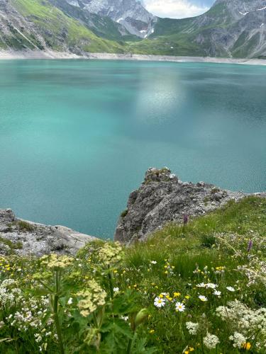 a view of a large body of water with flowers at Dream Apartments in Hohenems