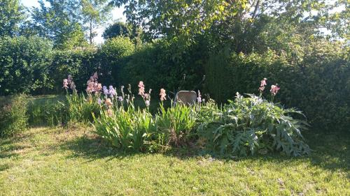 un jardin avec des fleurs roses dans l'herbe dans l'établissement Charmante maison, à Sainte-Blandine