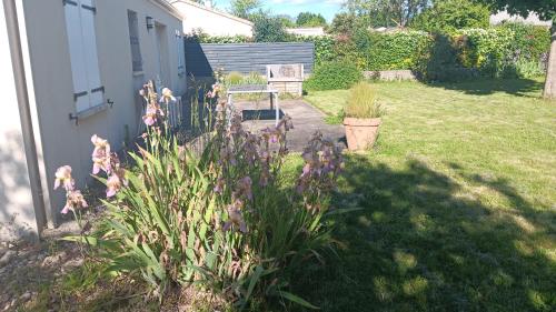 un jardin avec des fleurs violettes dans une cour dans l'établissement Charmante maison, à Sainte-Blandine