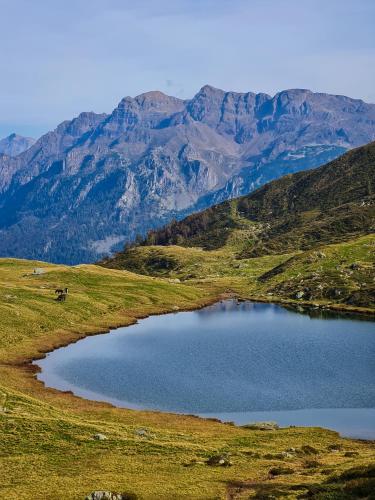 a lake in a field with mountains in the background at La Cà Granda, quiet house with mountain views in Gandellino