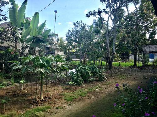Taman di luar Sabirin Asri Homestay