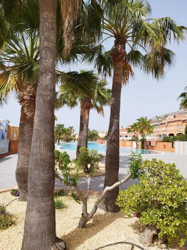 Zonnig appartement met zwembad