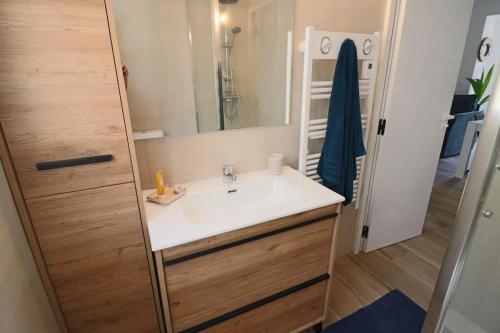 une salle de bain avec un lavabo et un miroir dans l'établissement T2 jardin, 100m de la plage, à Sanary-sur-Mer