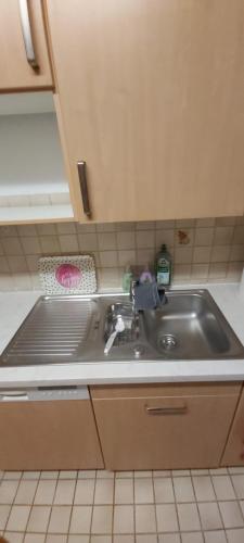 a kitchen sink with a faucet on top of it at Haus Am Teich Oetjens in Weilburg_Gaudernbach