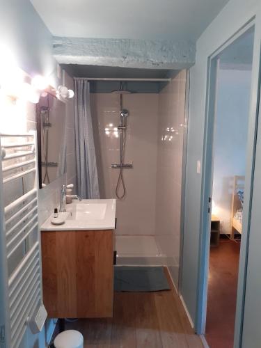 une salle de bain avec un lavabo et une douche dans l'établissement Le Mardaris, à Reilhanette