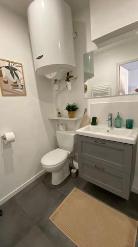 une salle de bain blanche avec des toilettes et un lavabo dans l'établissement Charmant studio centre Apt au calme, à Apt