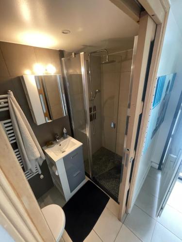 une salle de bain avec douche et lavabo dans l'établissement Au coin tranquille, à Champigny-sur-Marne