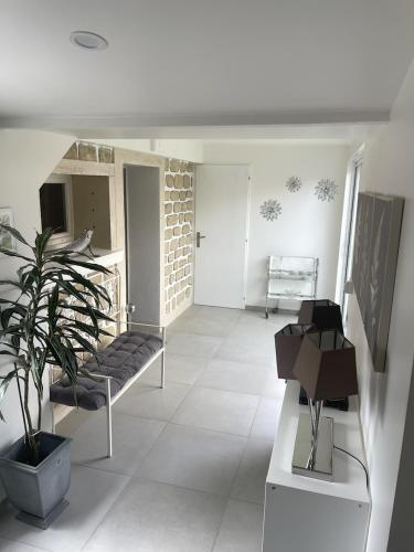 un salon avec un canapé et une plante dans l'établissement Au coin tranquille, à Champigny-sur-Marne