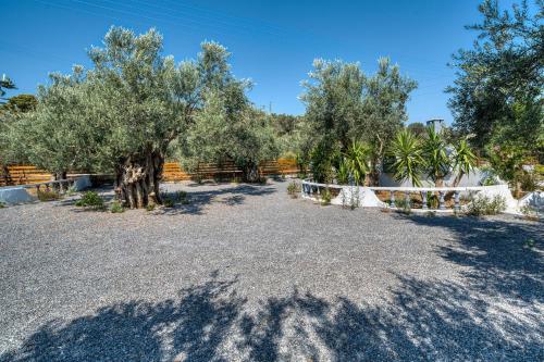 a gravel driveway with trees and a fence at Green Poetree Houses in Galatas