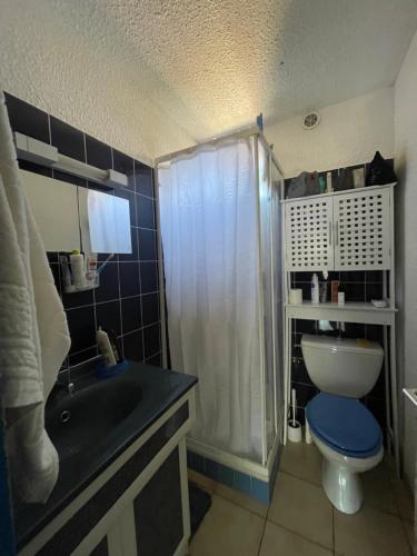 une salle de bain avec une douche, des toilettes et un lavabo dans l'établissement Belle maison T2 Mezzanine, au Barcarès